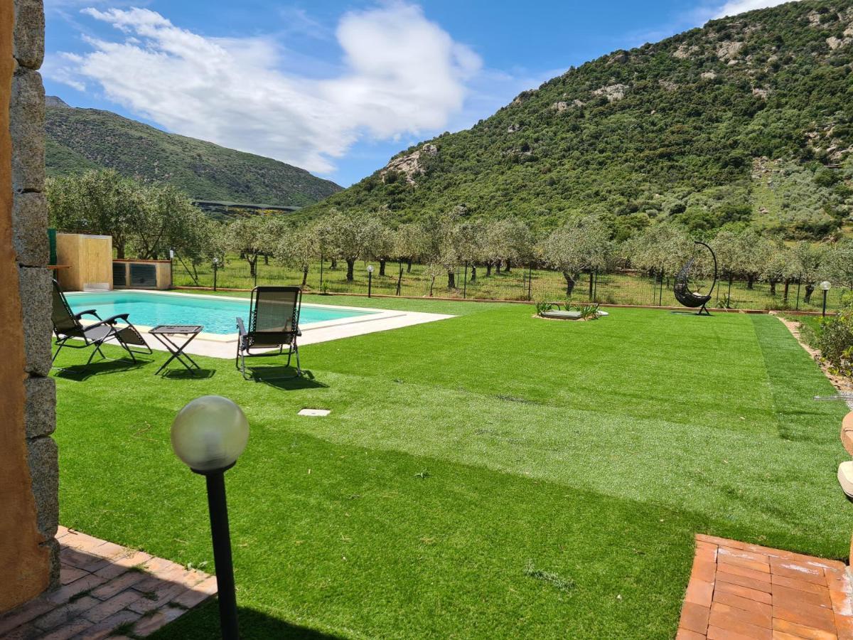 Lu Lioni Villa Paola San Teodoro Con Piscina Privata מראה חיצוני תמונה